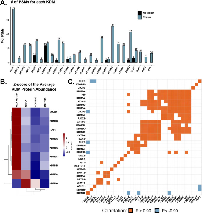 Figure 2: