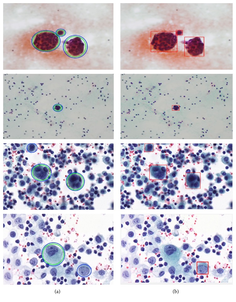 Figure 14