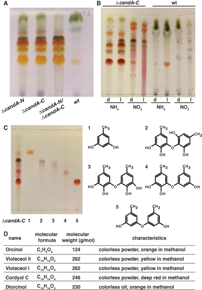 FIGURE 3: