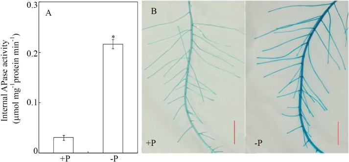 Fig. 3.