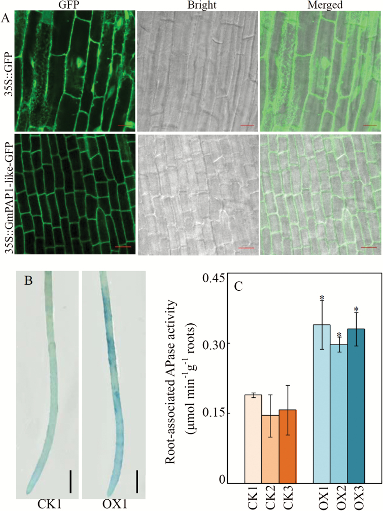 Fig. 7.