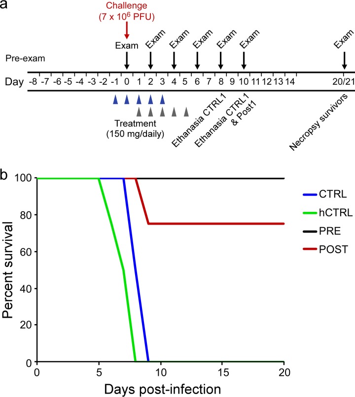 FIG 1