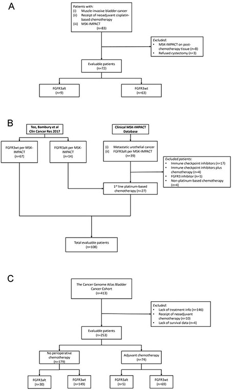 Fig. 1 –