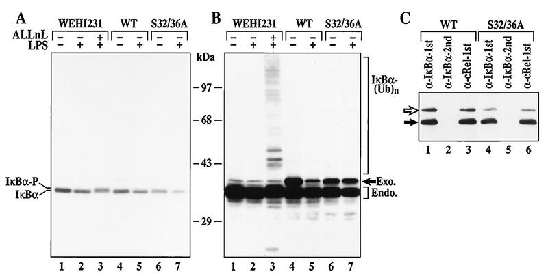 FIG. 5