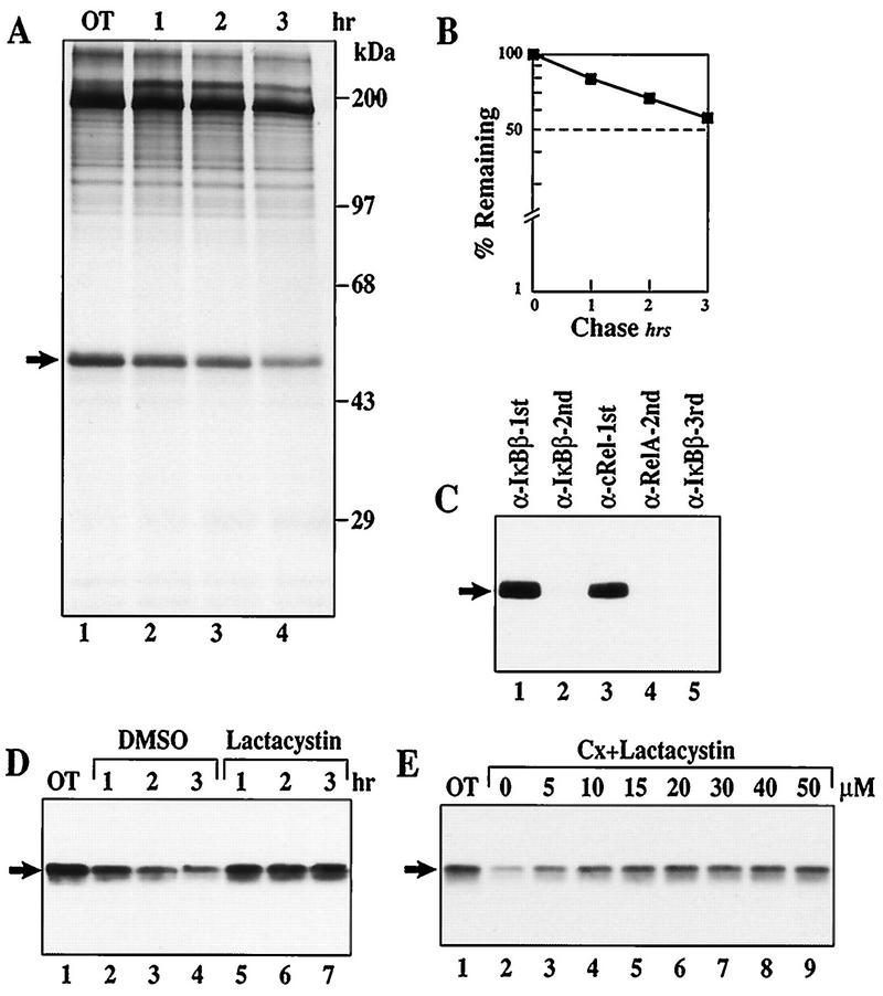 FIG. 8