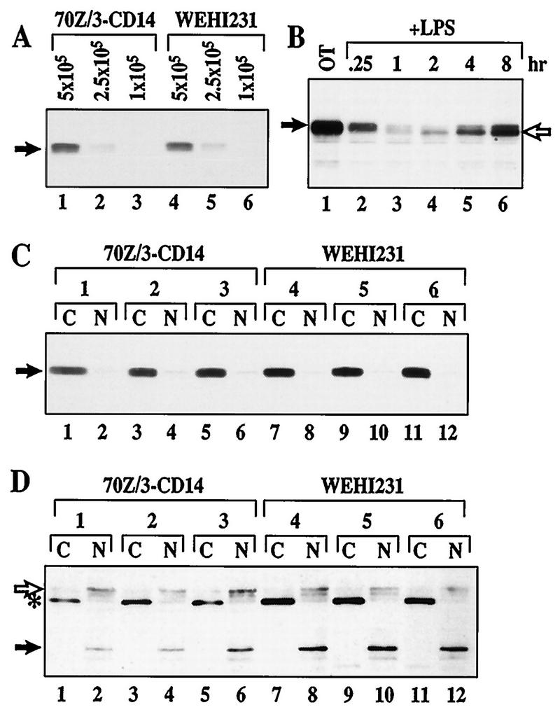 FIG. 9