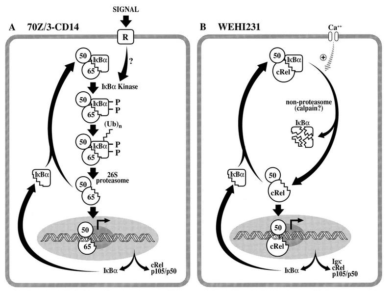 FIG. 10