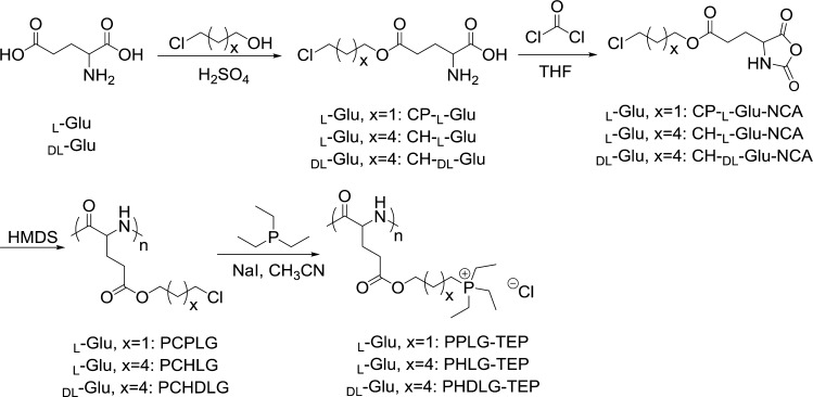 Scheme 1