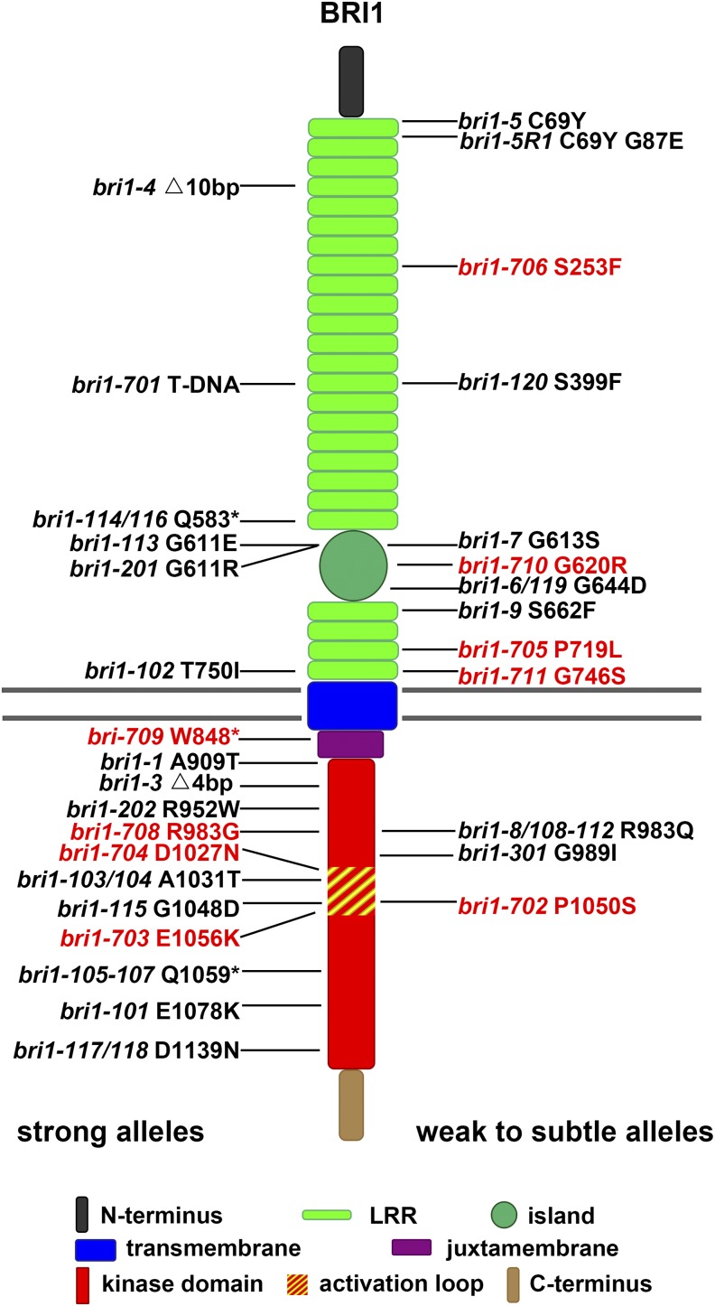 Figure 1.