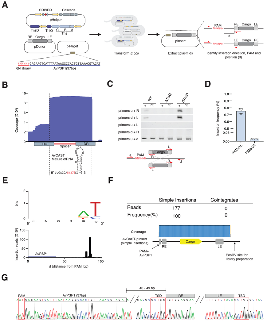 Figure 4|