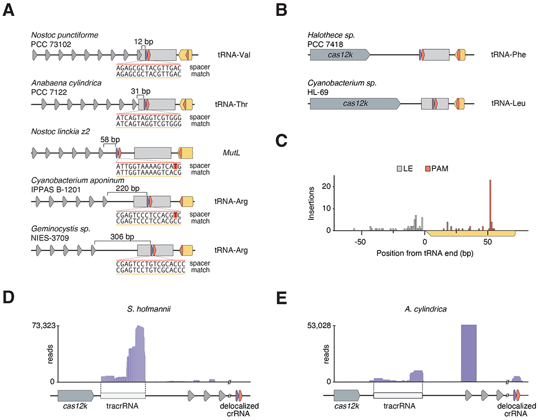 Figure 2|