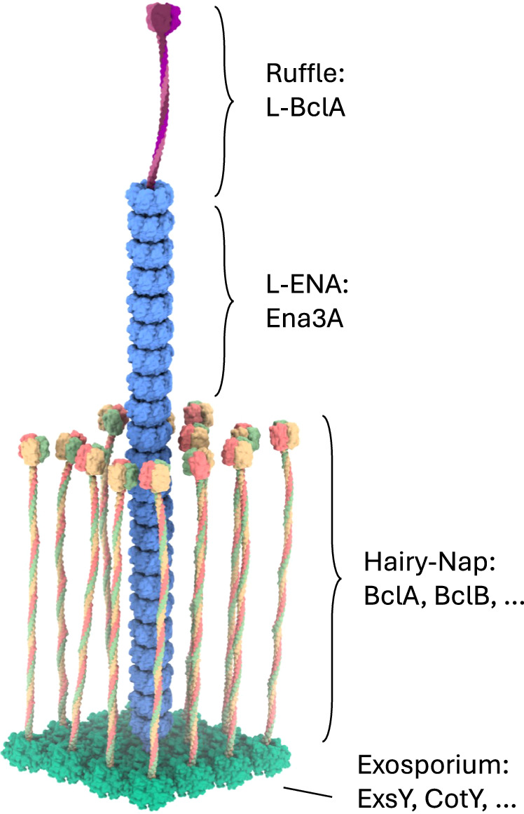 Fig. 7