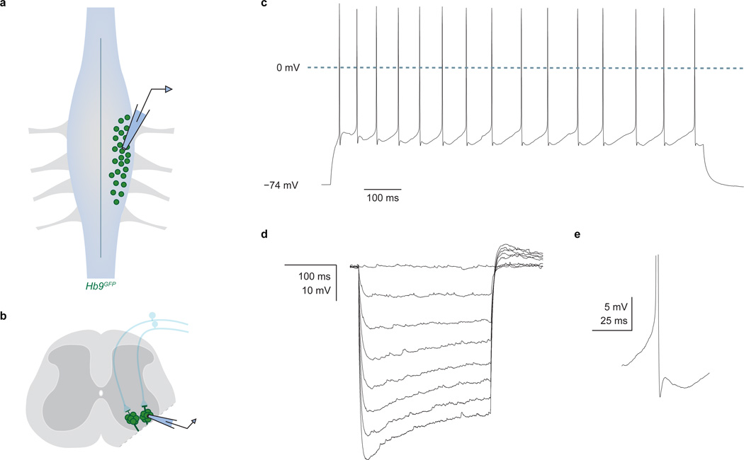 Extended Data Figure 3