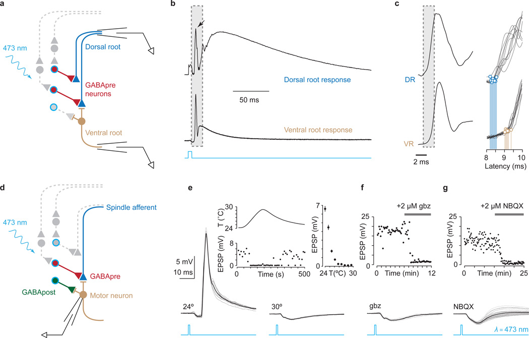 Extended Data Figure 2