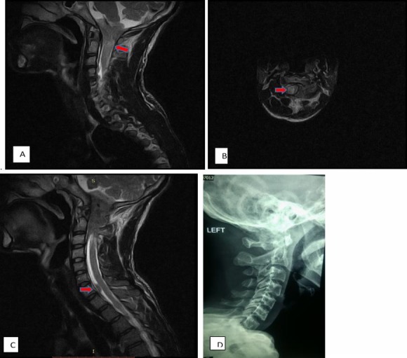 Fig. 2: