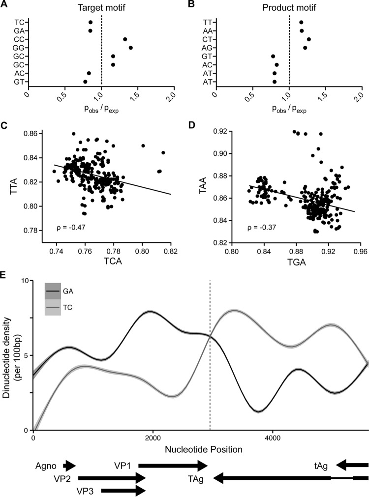 FIG 6