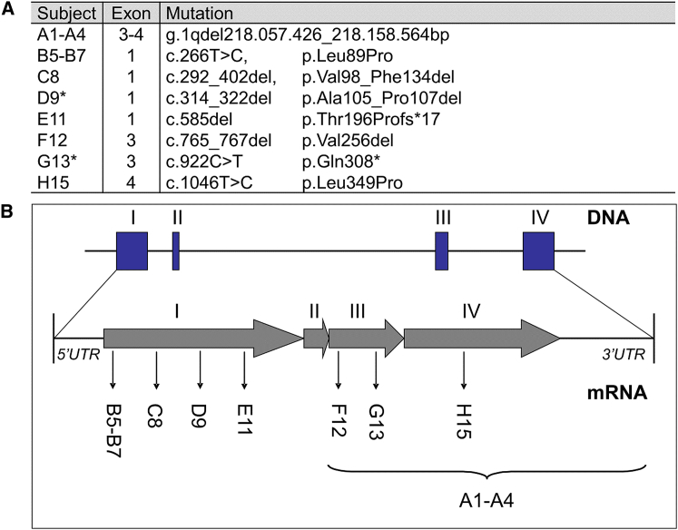 Figure 1