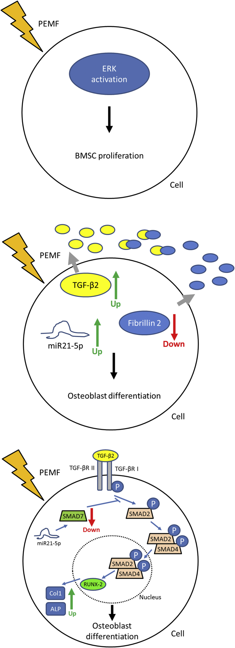 Figure 6