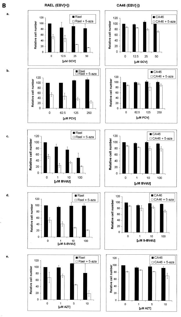 FIG. 7