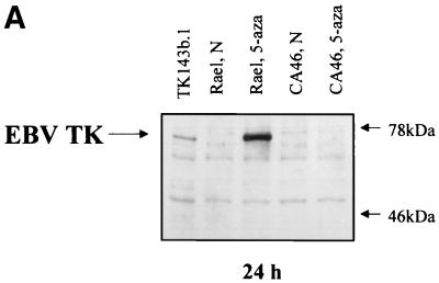 FIG. 7