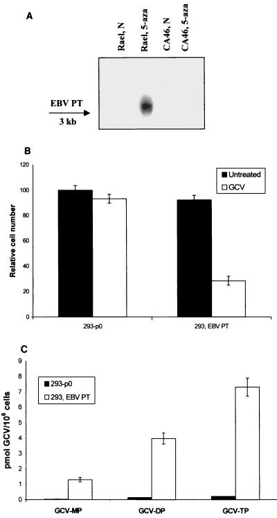 FIG. 6