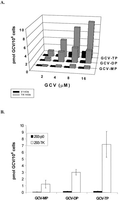 FIG. 5