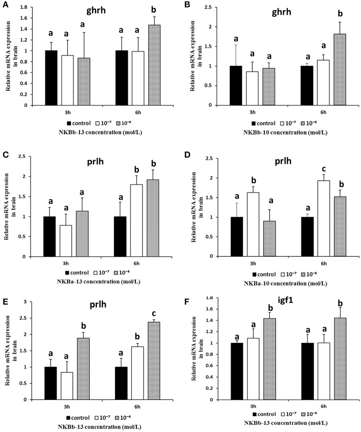 Figure 11