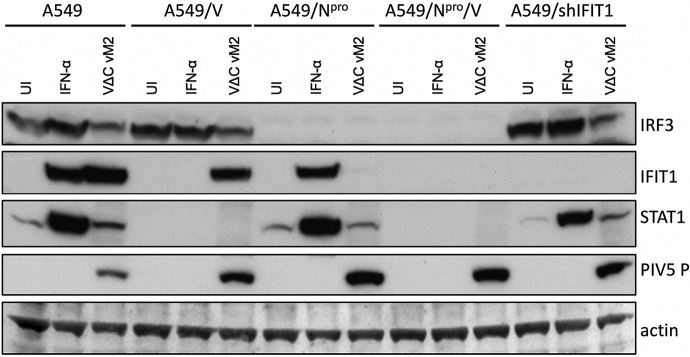 FIG 4