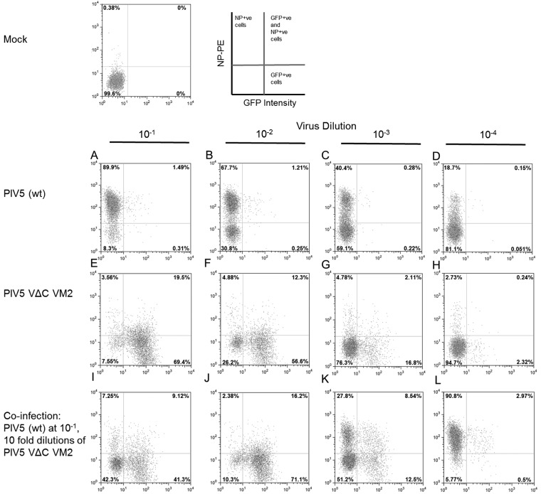 FIG 2