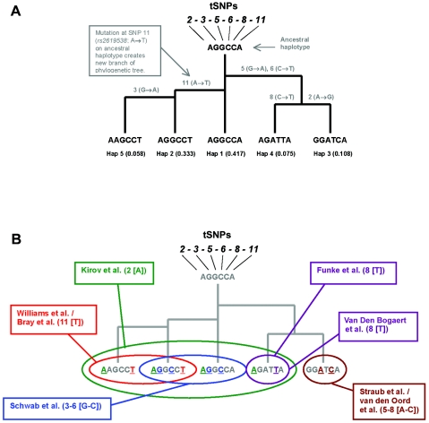 Figure  1. 