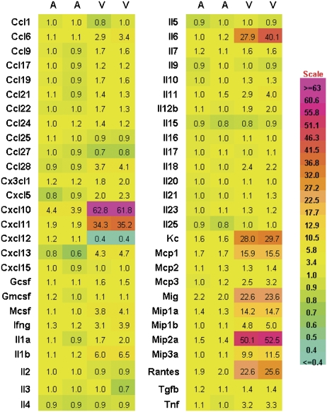 Fig. 4