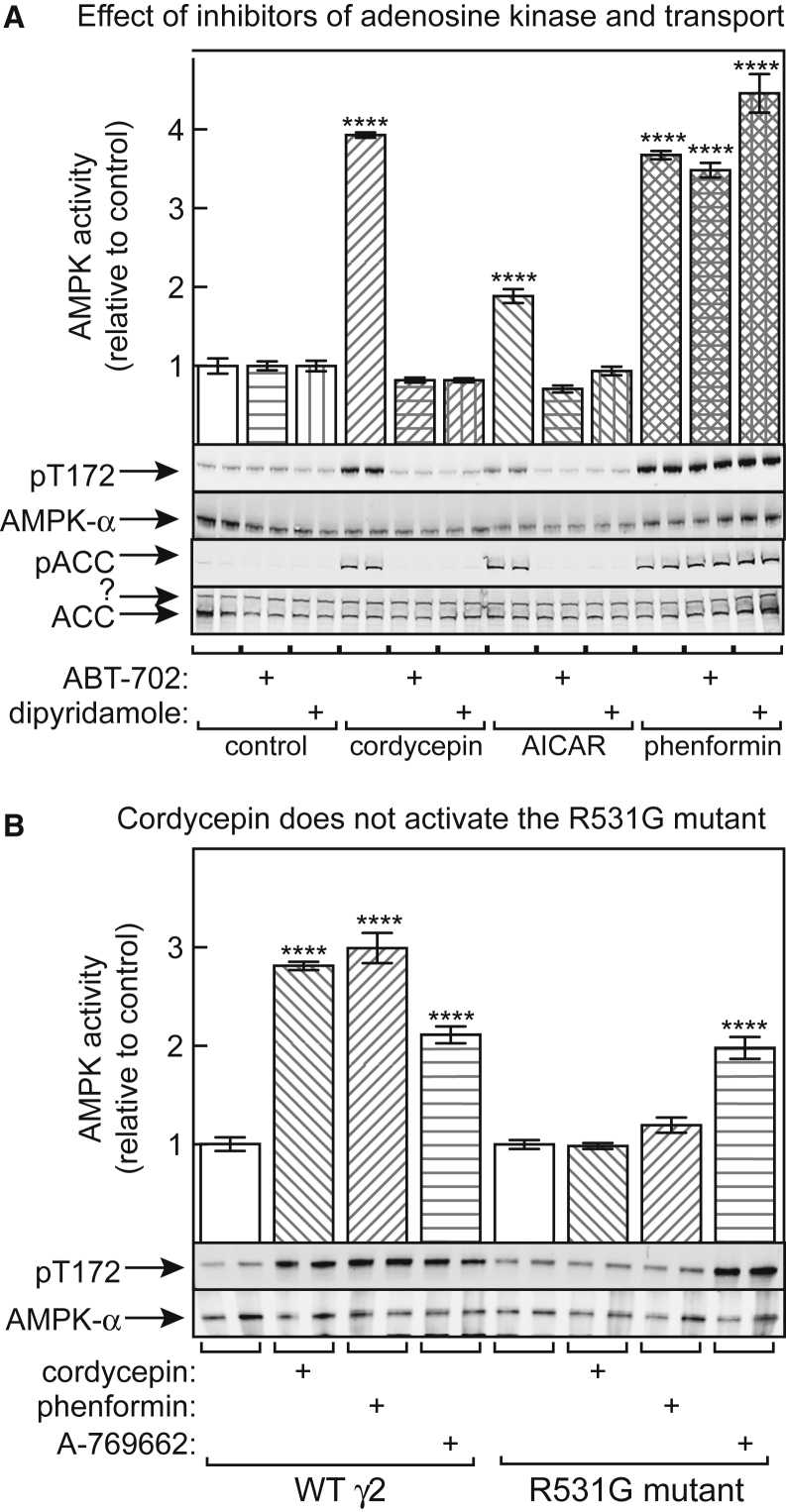 Figure 4