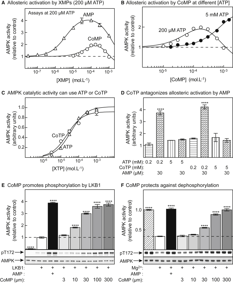 Figure 3