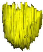 graphic file with name nihms-1511982-t0008.jpg