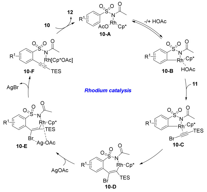 Scheme 6