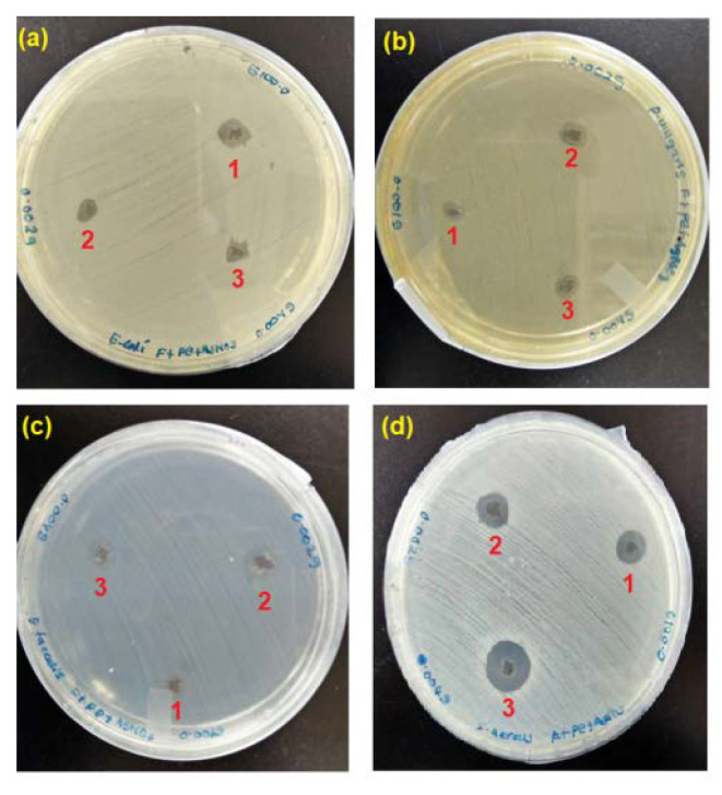 Figure 15