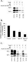 FIG. 6.