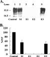 FIG. 8.