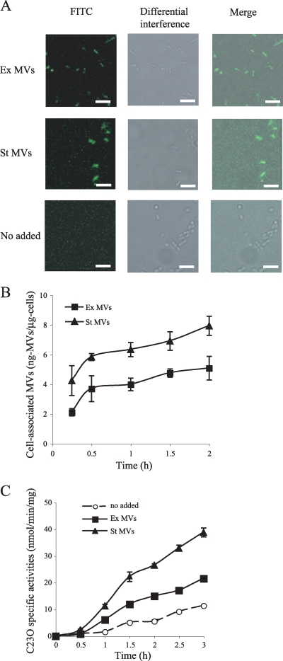 FIG. 6.