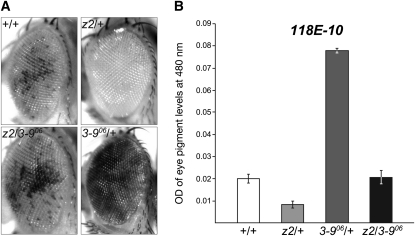 Figure 1.—