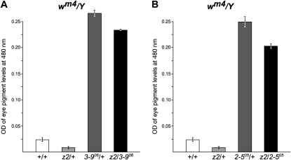 Figure 3.—