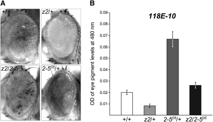 Figure 2.—