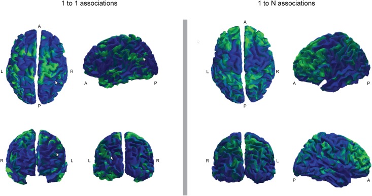 Fig 7