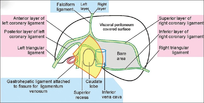 Figure 36