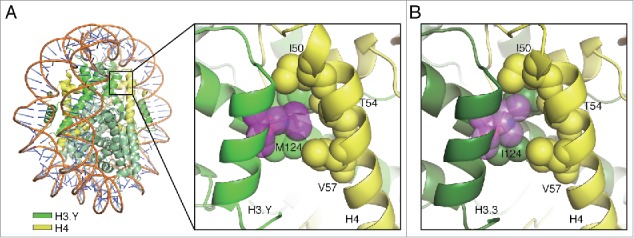 Figure 5.