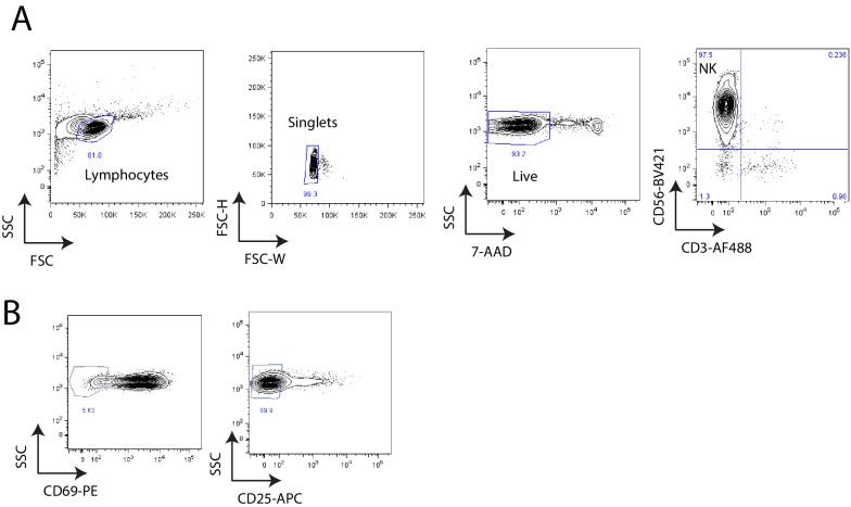 Figure 3—figure supplement 2.