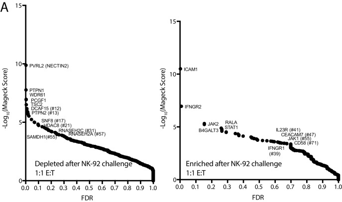 Figure 1—figure supplement 2.