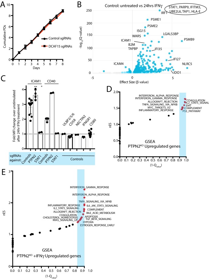 Figure 4—figure supplement 1.