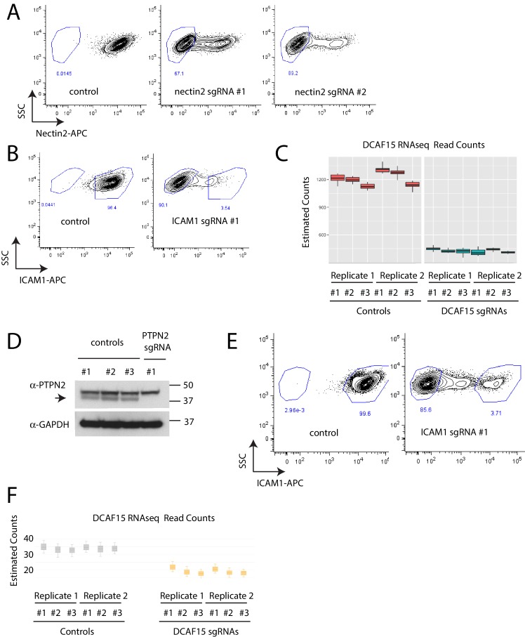 Figure 3—figure supplement 1.