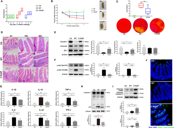 Figure 6